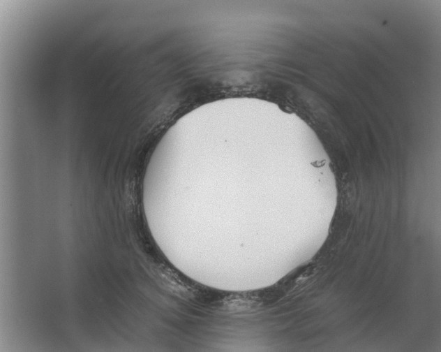 X0000066520756200604141813