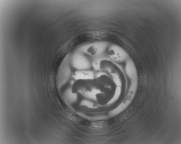 X0000066520757200604141814