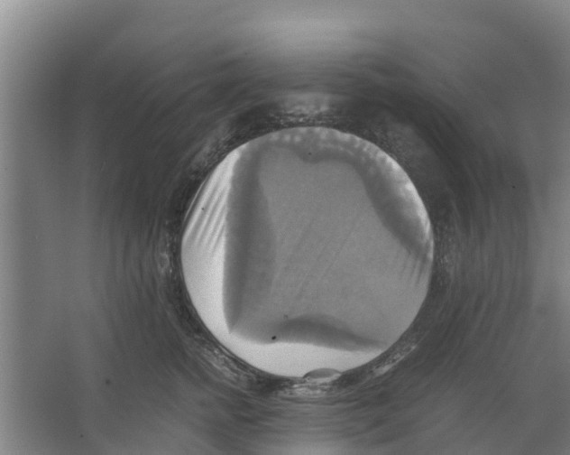 X0000066520758200604141814