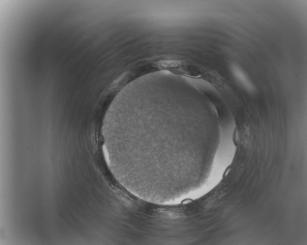 X0000066520763200604141814