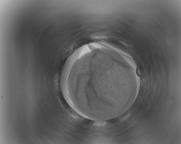 X0000066520767200604141814