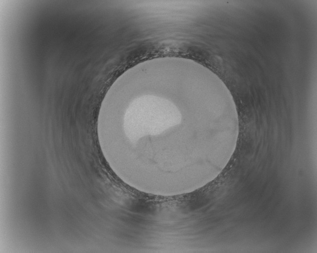 X0000066520769200604141813