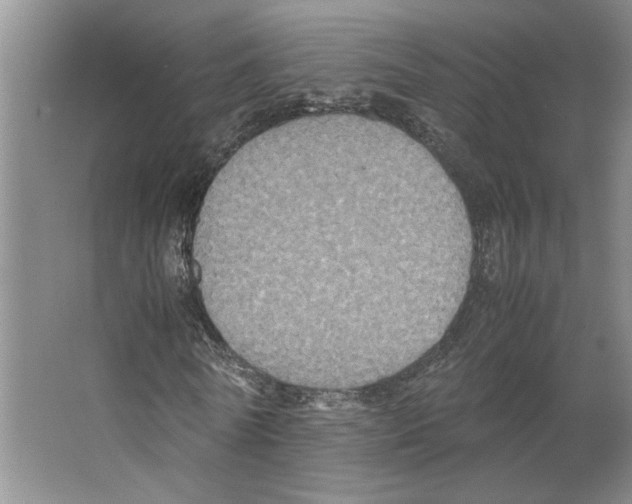 X0000066520770200604141813