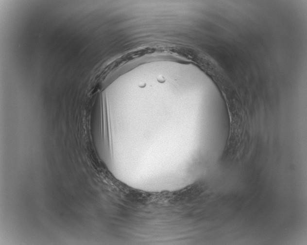 X0000066520773200604141813