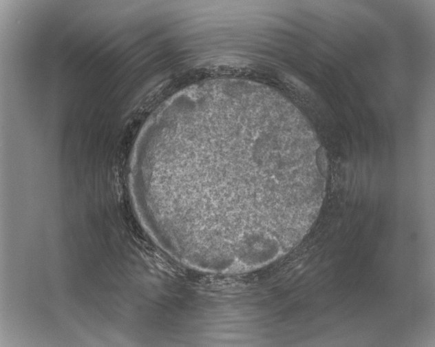 X0000066520774200604141813