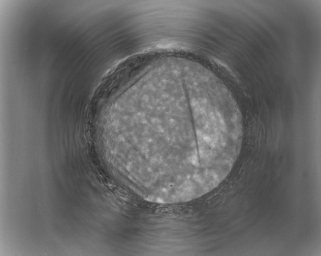 X0000066520776200604141813