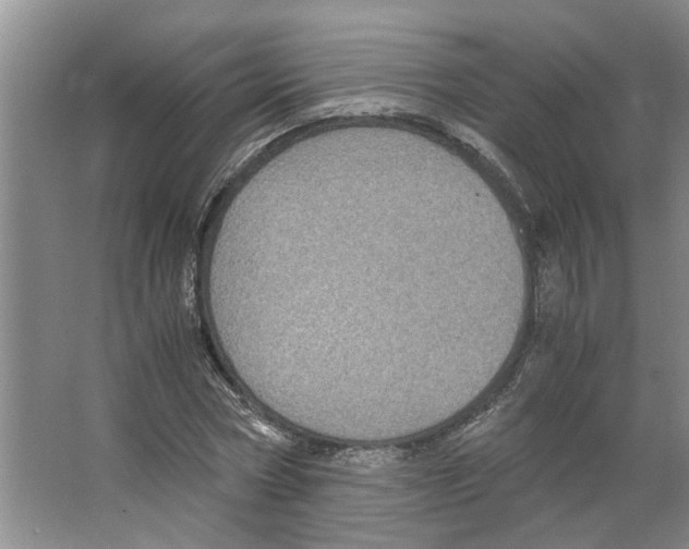 X0000066520778200604141813