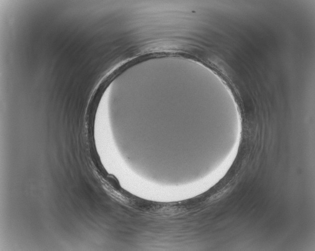 X0000066520779200604141813