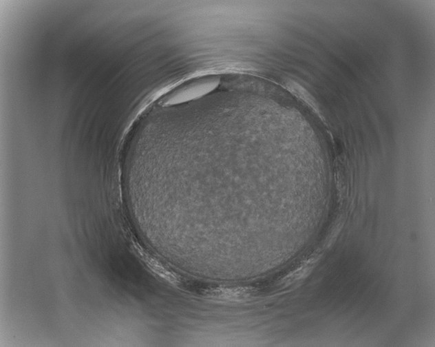 X0000066520781200604141813