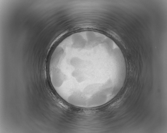 X0000066520782200604141813