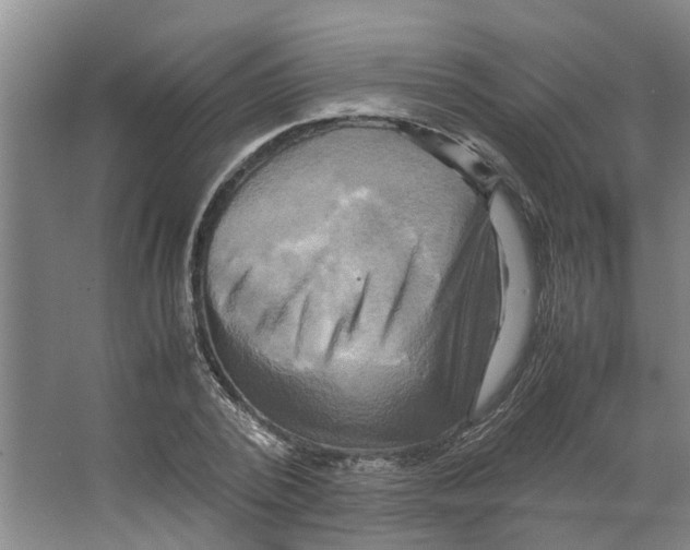 X0000066520784200604141813