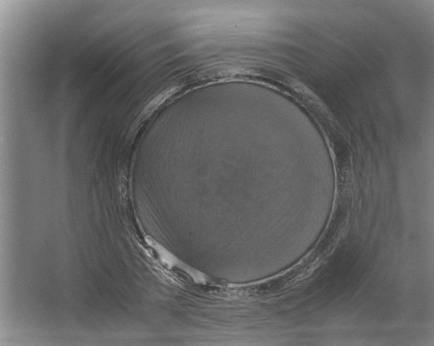 X0000066520785200604141813