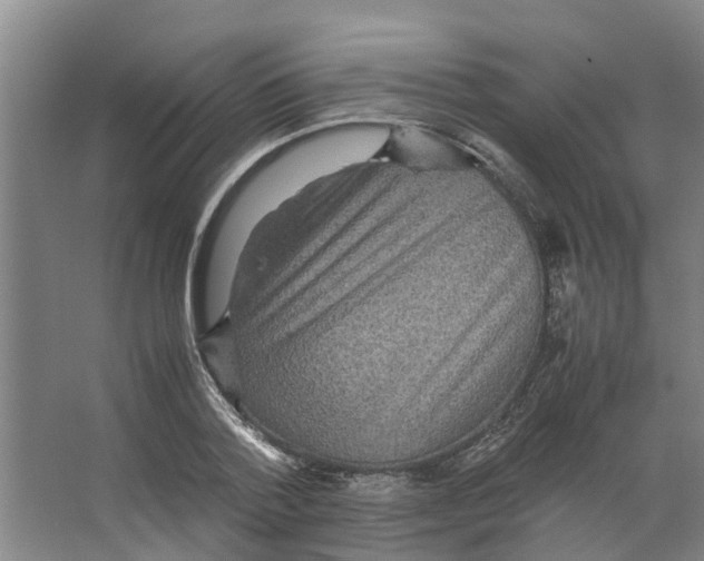 X0000066520788200604141813