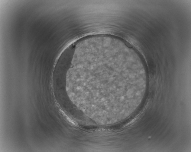 X0000066520789200604141813