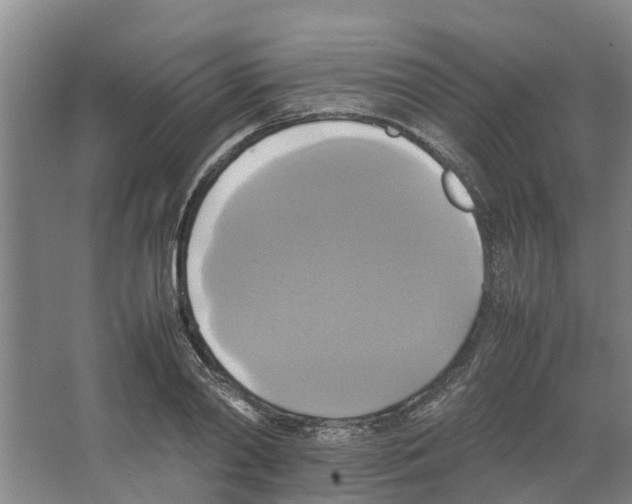 X0000066520790200604141813