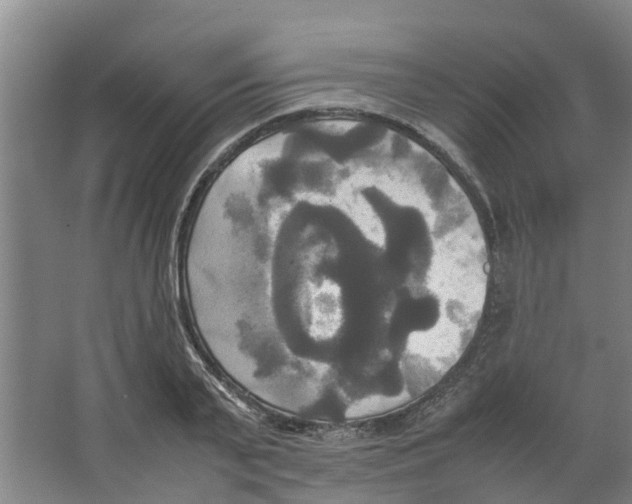 X0000066520791200604141813