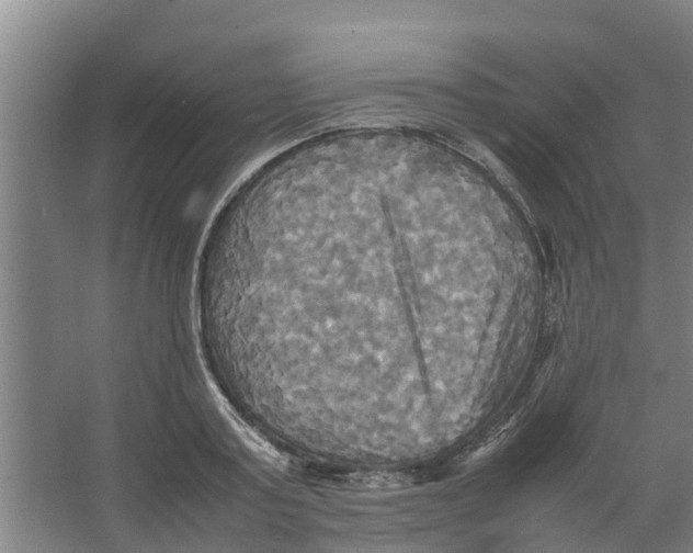 X0000066520795200604141812