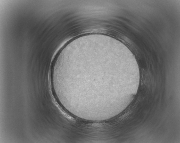 X0000066520796200604141812