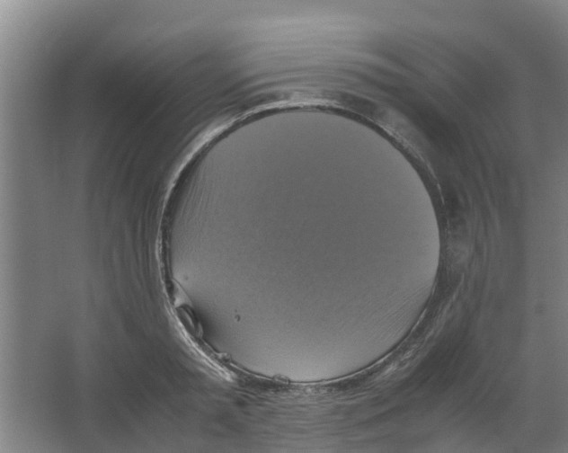 X0000066520797200604141812