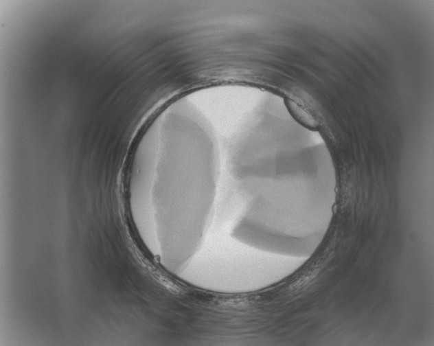 X0000066520798200604141812