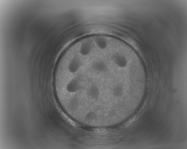 X0000066520799200604141812