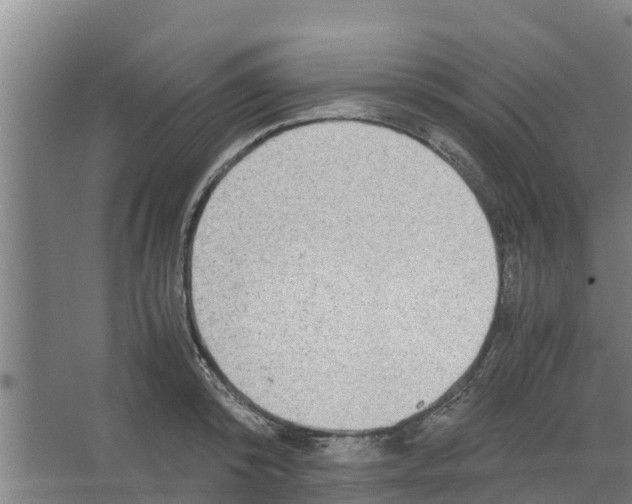 X0000066520800200604141812