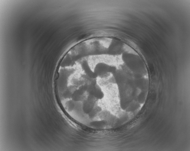 X0000066520803200604141812