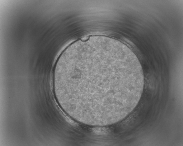 X0000066520804200604141812