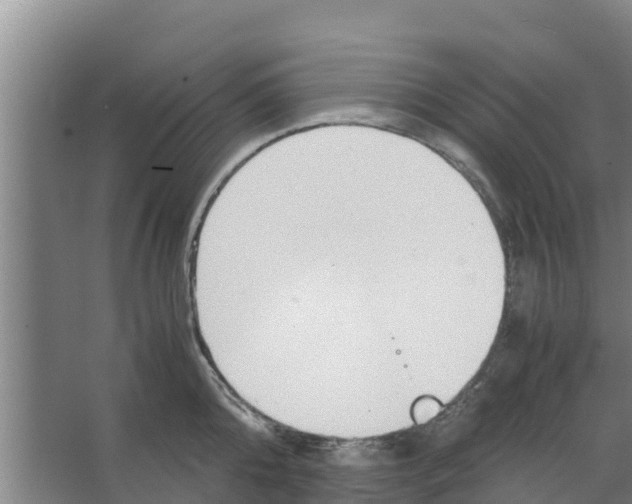 X0000066520808200604141812