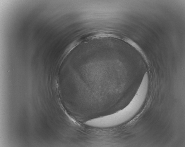 X0000066520809200604141812