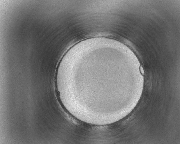 X0000066520810200604141812