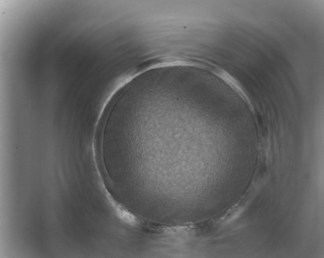 X0000066520813200604141812