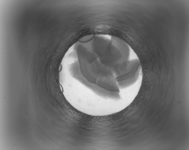 X0000066520817200604141811