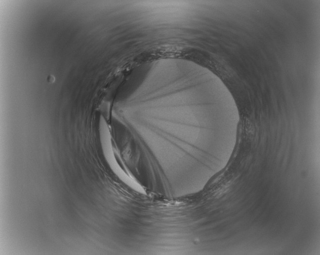 X0000066520818200604141811