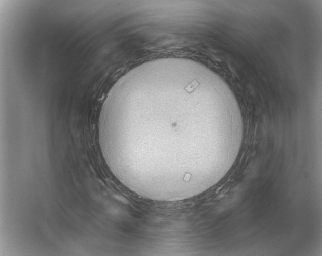 X0000066520820200604141811