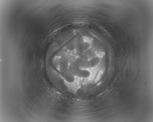 X0000066520821200604141811