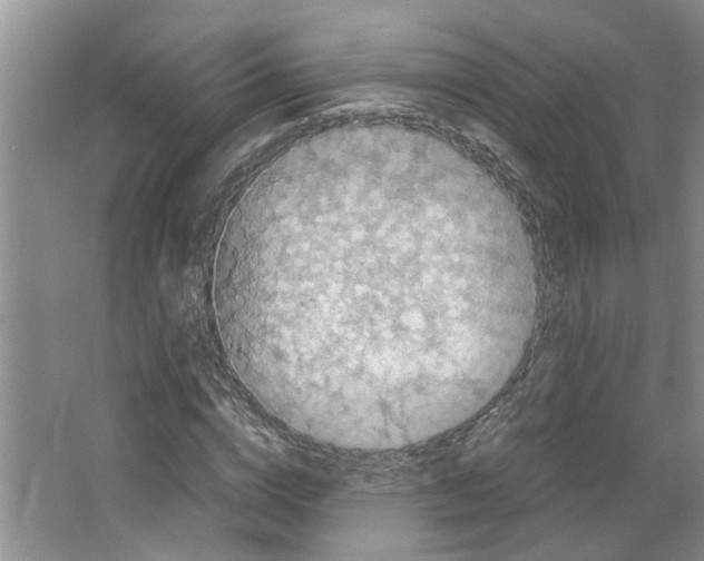 X0000066520824200604141811