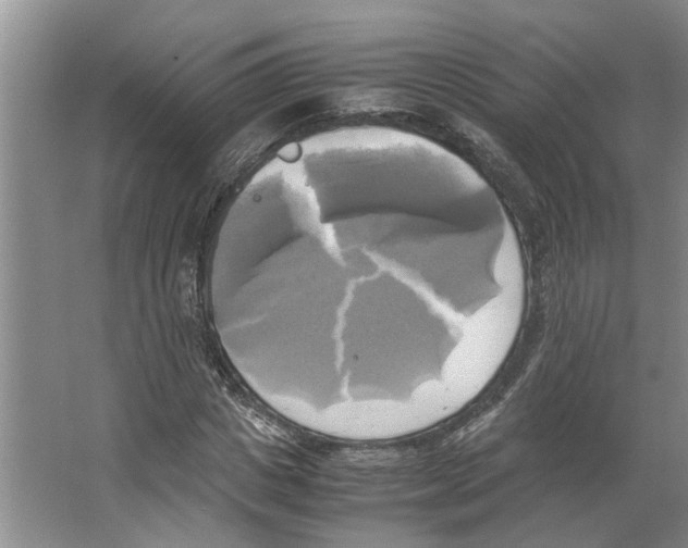 X0000066520825200604141811