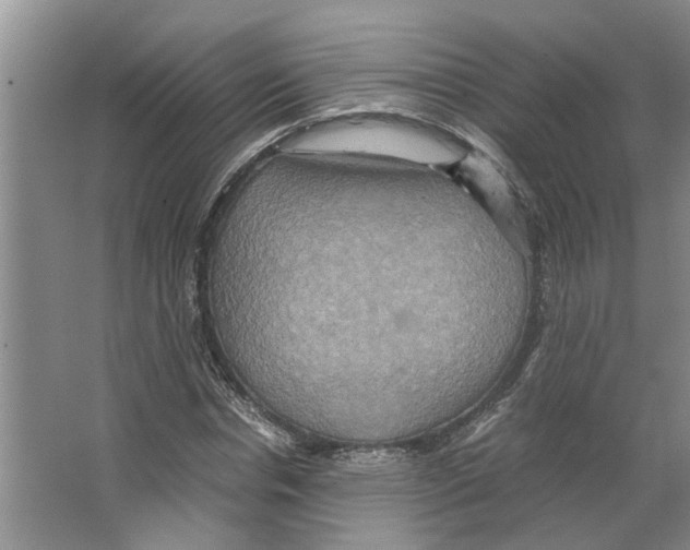 X0000066520826200604141811