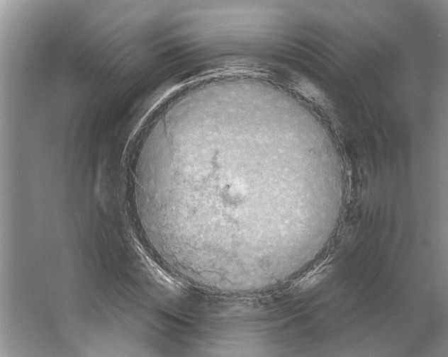 X0000066520828200604141811