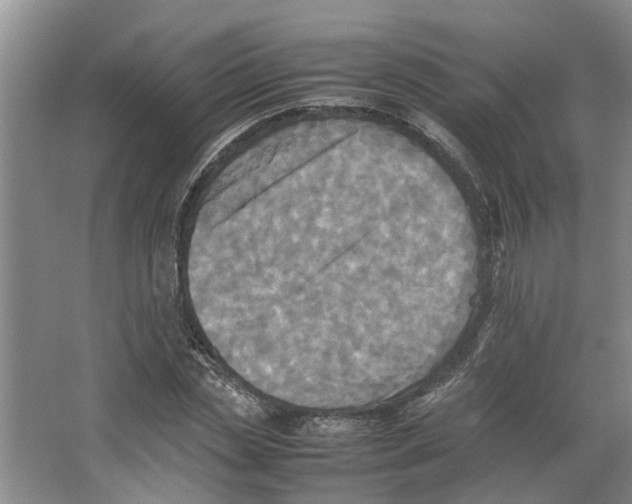 X0000066520829200604141811