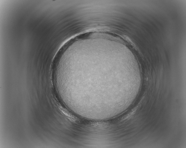 X0000066520830200604141812