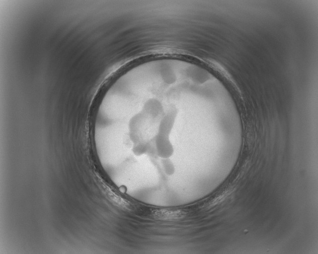 X0000066520831200604141812