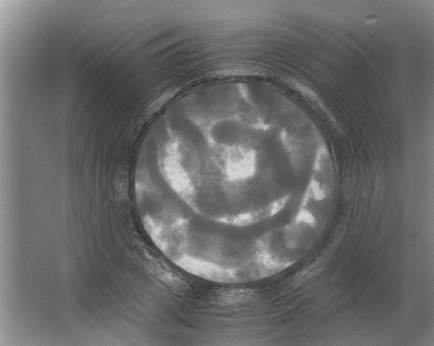 X0000066520833200604141812