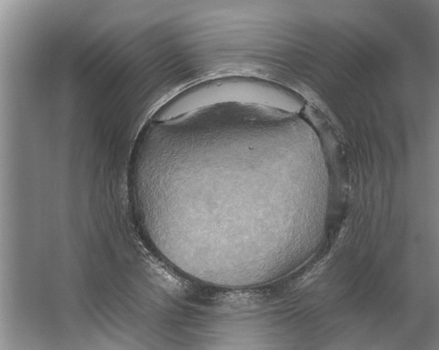 X0000066520834200604141812