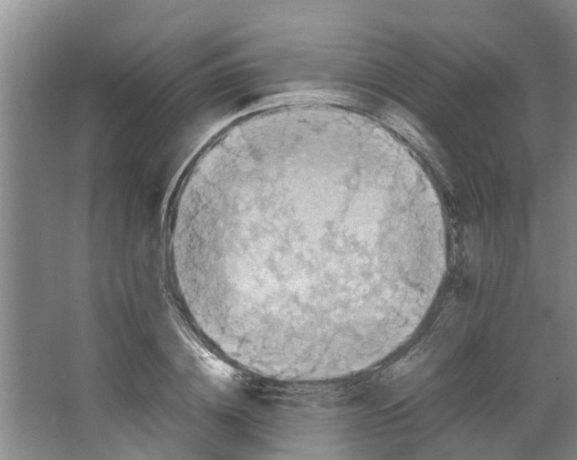 X0000066520836200604141812