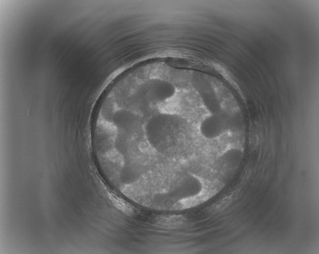 X0000066520837200604141812