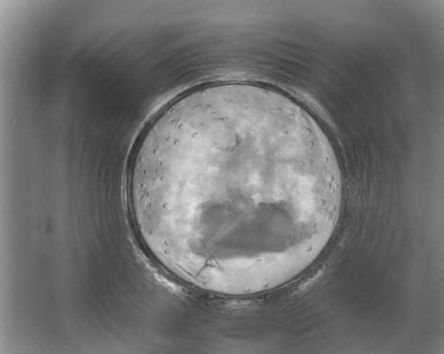 X0000066520839200604141812