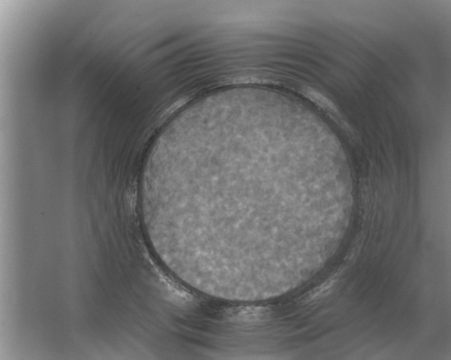 X0000066520841200604141812