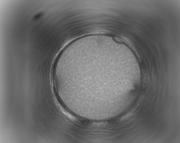 X0000066520843200604141812